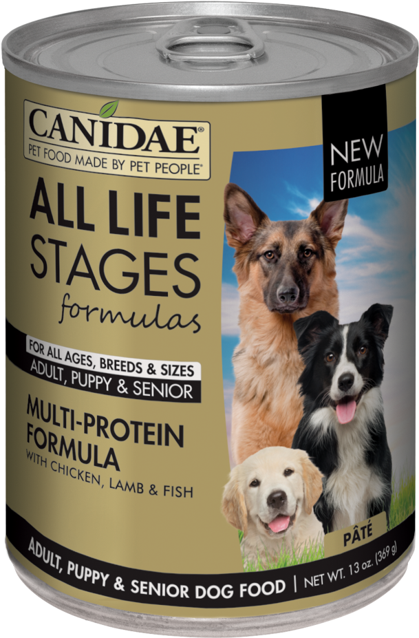 Canidae (1000x1000), Png Download