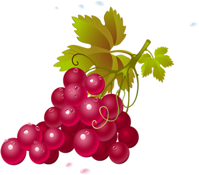 Grapes Fruits Png Transparent Images Clipart Icons - Jean Michel Brouard Vin (911x865), Png Download