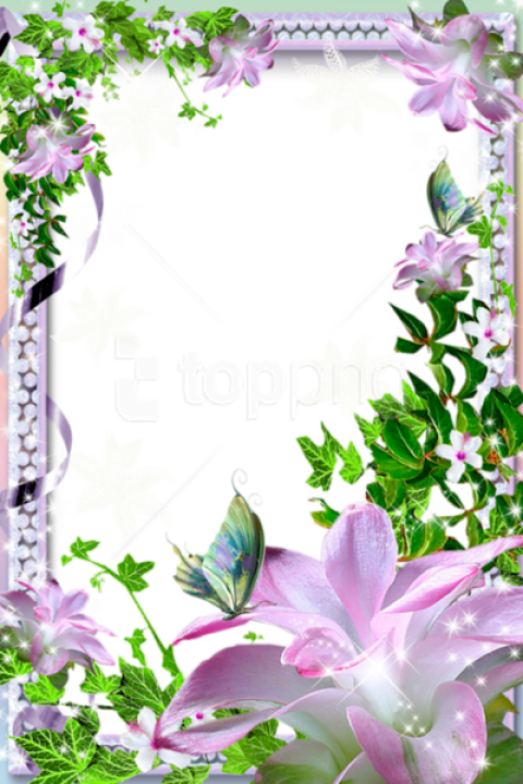Free Png Best Stock Photos Beautiful Transparent Photo - Beautiful Flower Photo Frames (480x720), Png Download