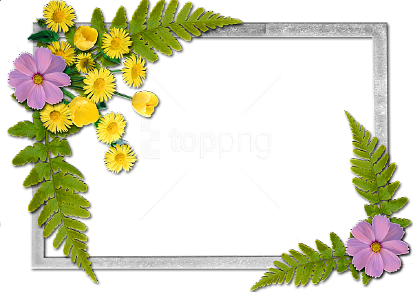 Free Png Flowers Frame Background Best Stock Photos - Flowers Frame (850x601), Png Download