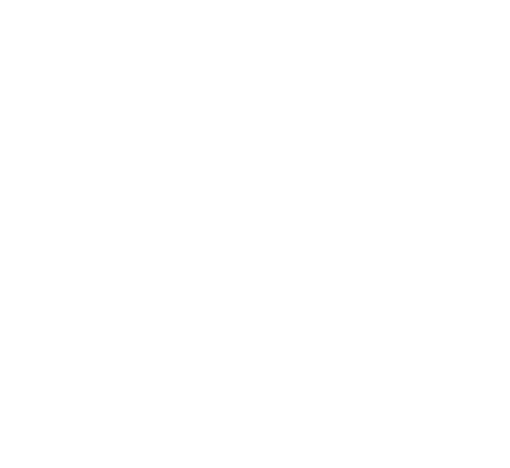 Gtaustin Logo Central Hispanic - Twitter White Bird Logo (1000x924), Png Download
