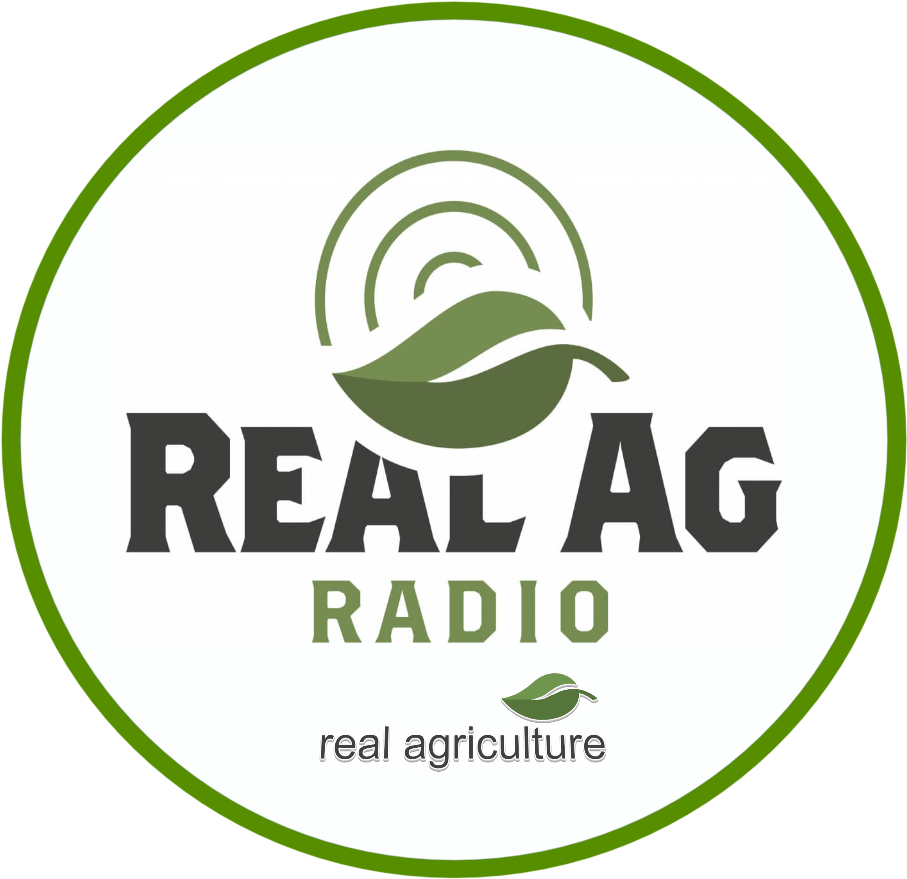 Realag Radio Logo Audio Circle 1 - Label (1920x1080), Png Download