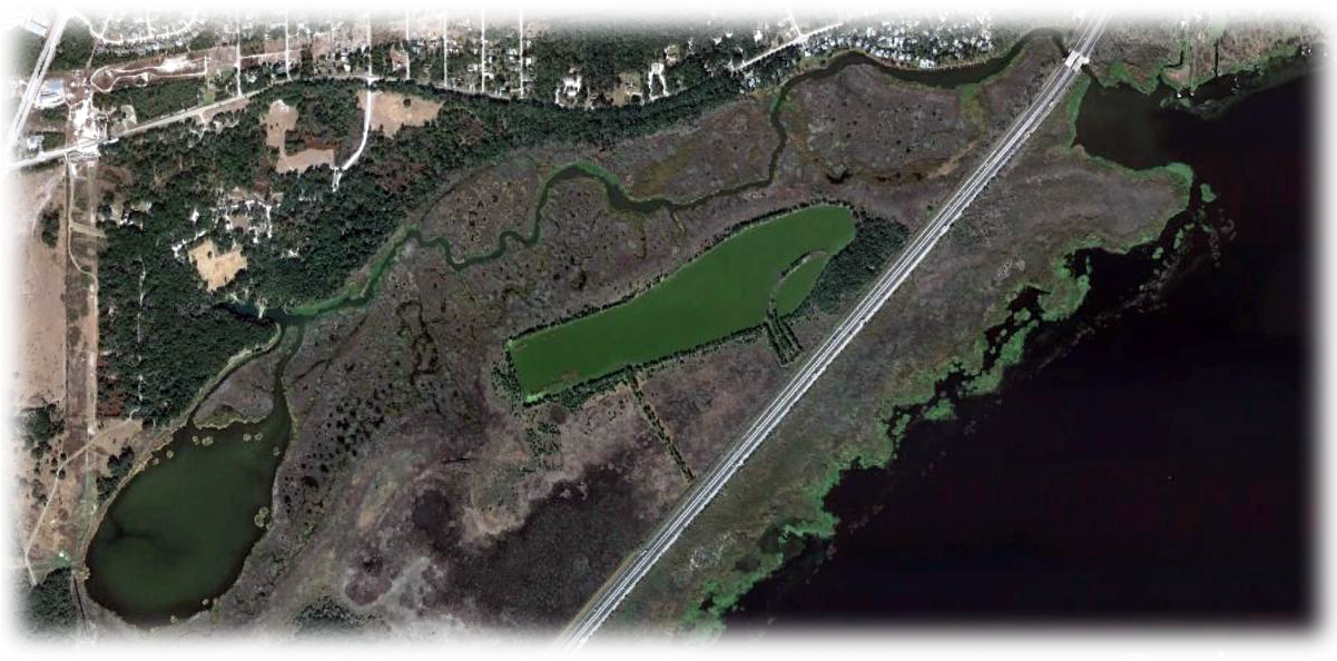 Gemini Springs Blueway - Aerial Photography (1200x647), Png Download