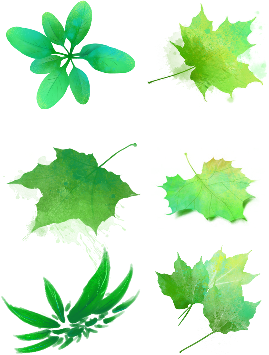 Hojas Verdes Acuarelas Manchas Png Y Psd - Maple Leaf (1024x1369), Png Download