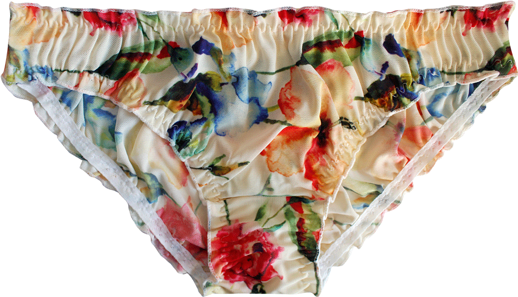0% Off - Panties (1024x1024), Png Download