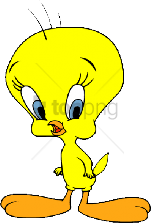 Free Png Download Tweety Bird Vector With Transparent - Tweety Bird Vector With Transparent Background (480x710), Png Download