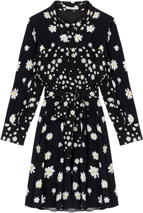 Dress With Mixed Daisy Print - Dress (800x800), Png Download