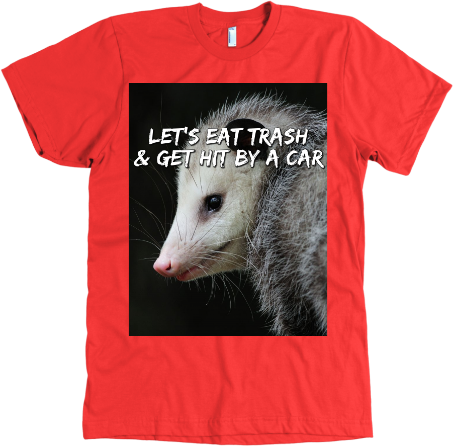 Lgfuapd Opossum - T-shirt (1024x1024), Png Download