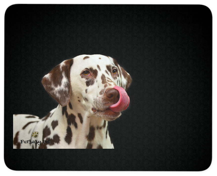 Dalmatian Mouse Pad - Dalmata Cariñoso (1024x1024), Png Download