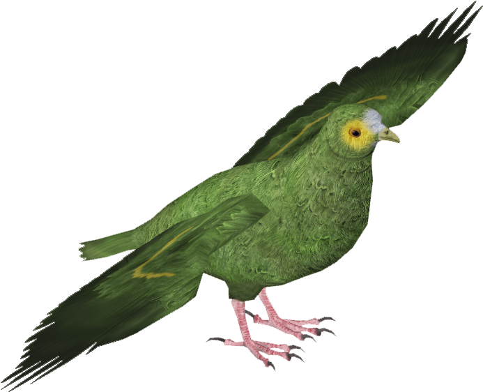 Negros Fruit Dove - Negros Fruit Dove Ptilinopus Arcanus (692x692), Png Download