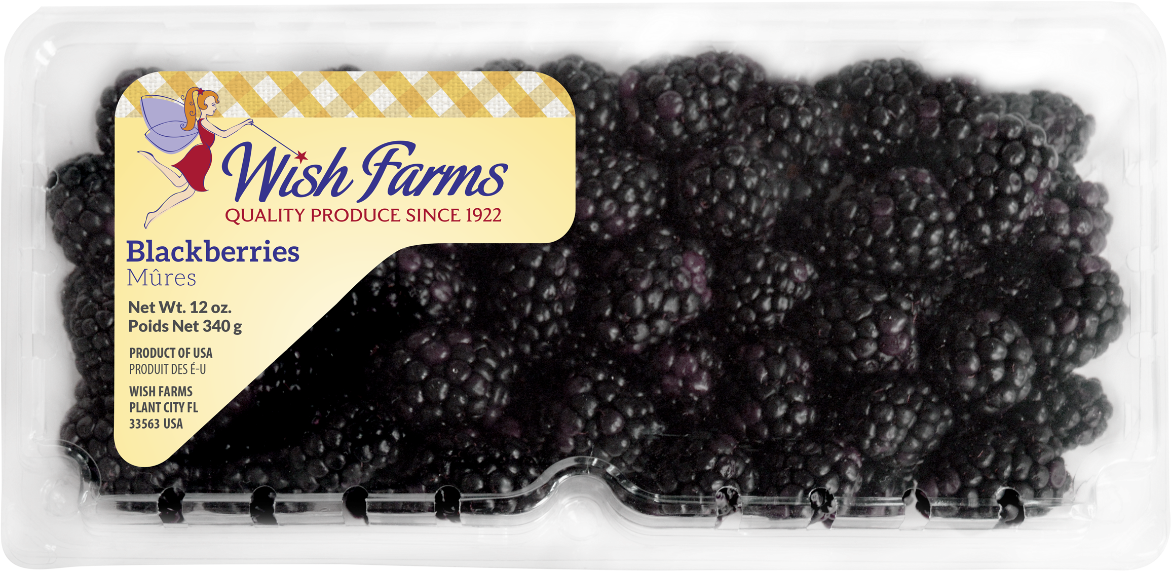 Wish Farms (2552x1389), Png Download