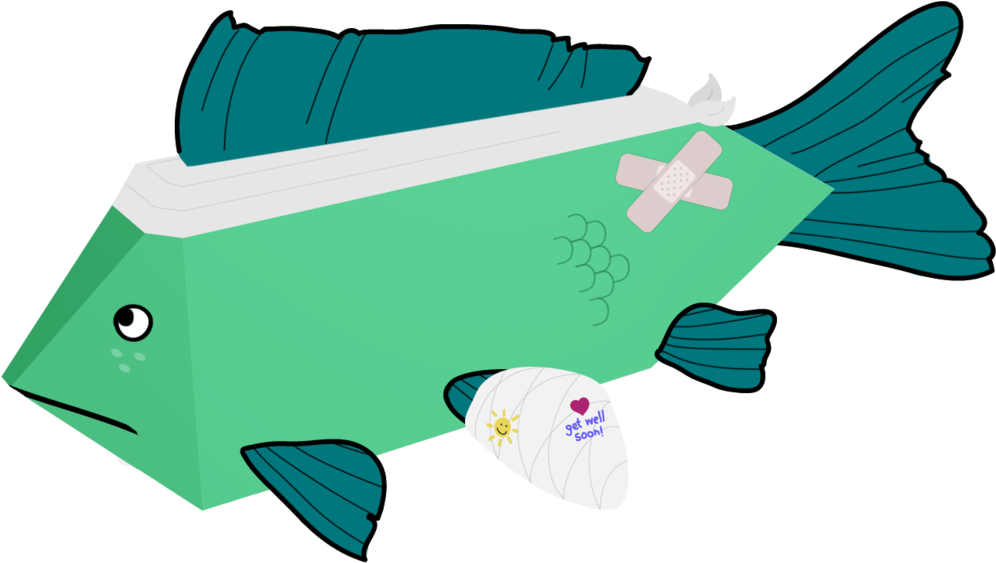 Fish-4a (1000x628), Png Download