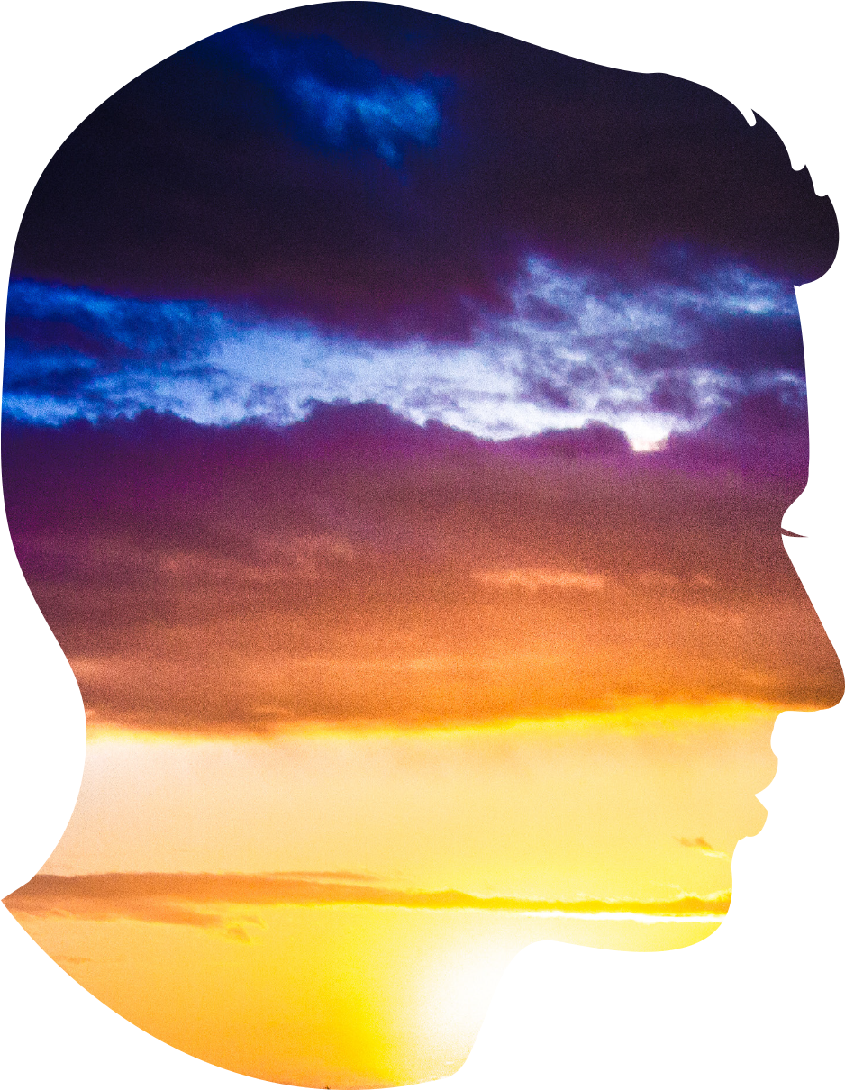 Ls Faceimage - Art (998x1209), Png Download