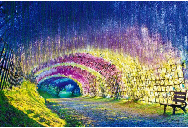 This Garden Is Popular For Mind-wing Vestoria Flowers - Kawachi Fuji Gardens 2017 (640x640), Png Download