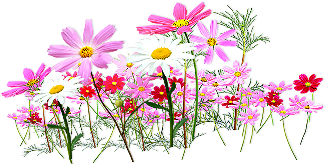 Free Floral Garden Transparent Designs Clip Art (1248x936), Png Download