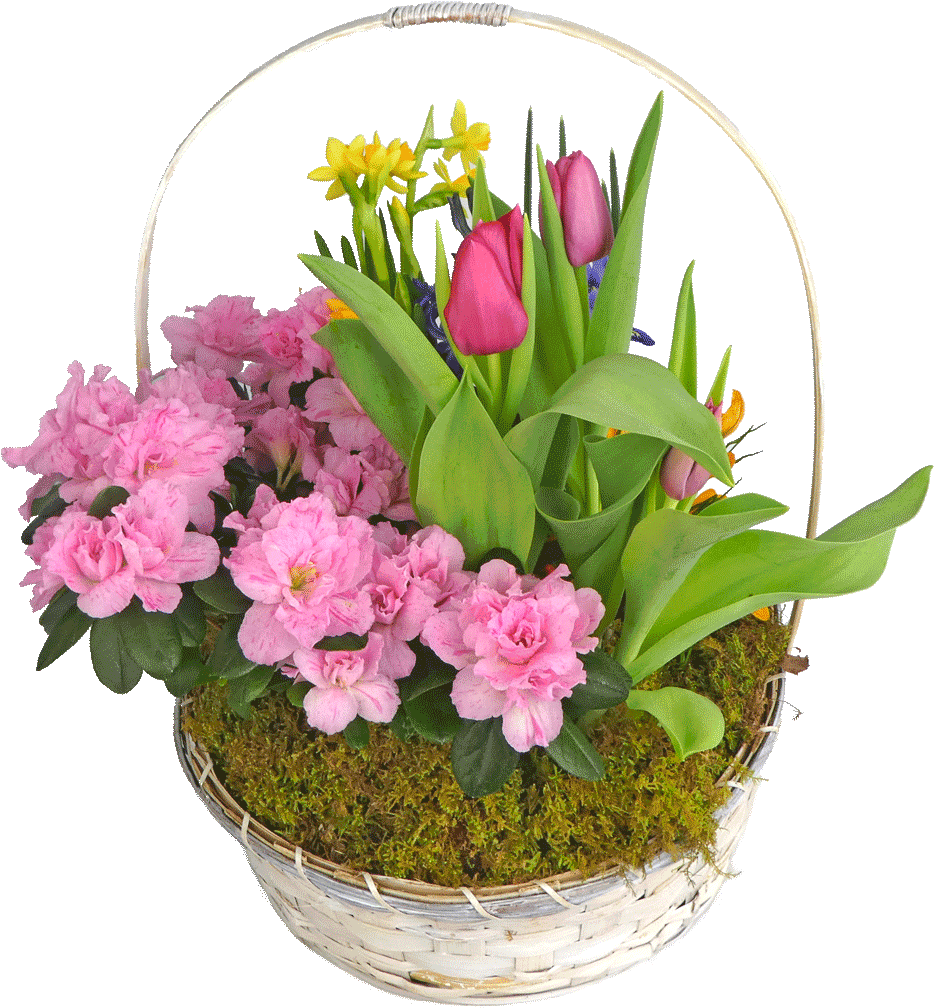 Spring's Garden - Bouquet (1024x1024), Png Download