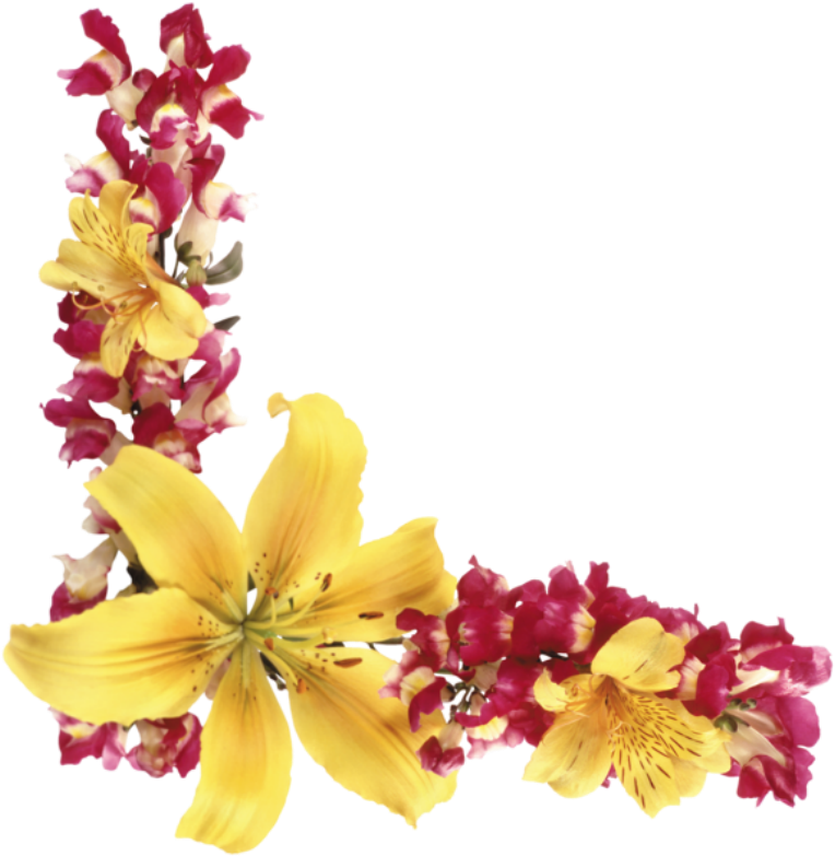 Bicycle Flower Garden Clip Art - Clip Art (789x800), Png Download