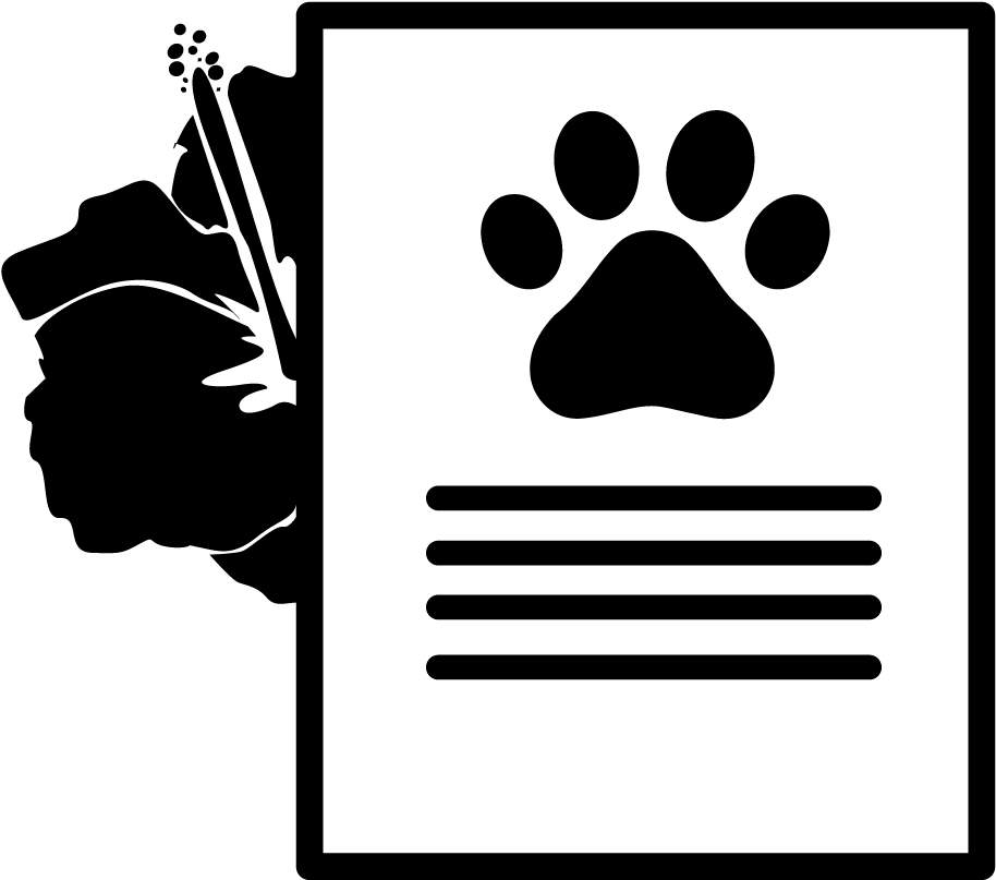 Poster Icon (1058x1058), Png Download