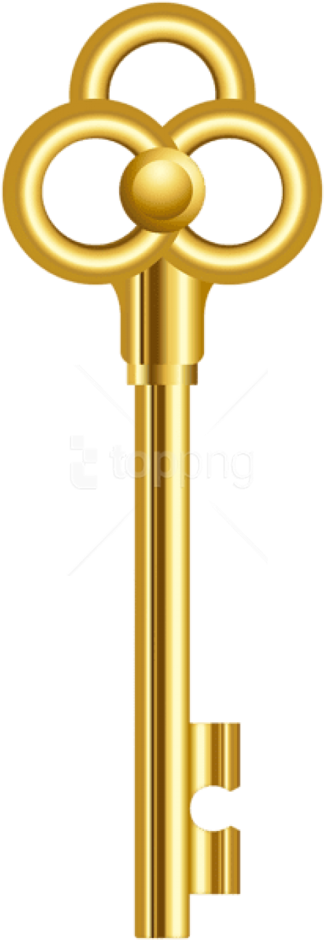 Free Png Download Gold Key Clipart Png Photo Png Images - Gold Key Png (480x1378), Png Download