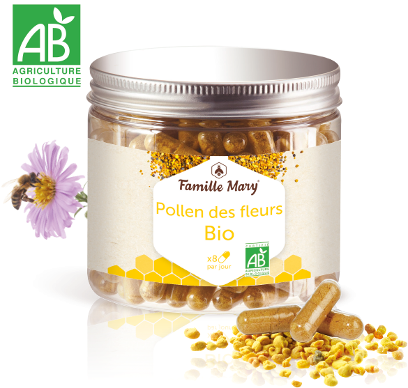 Description - African Daisy (700x700), Png Download