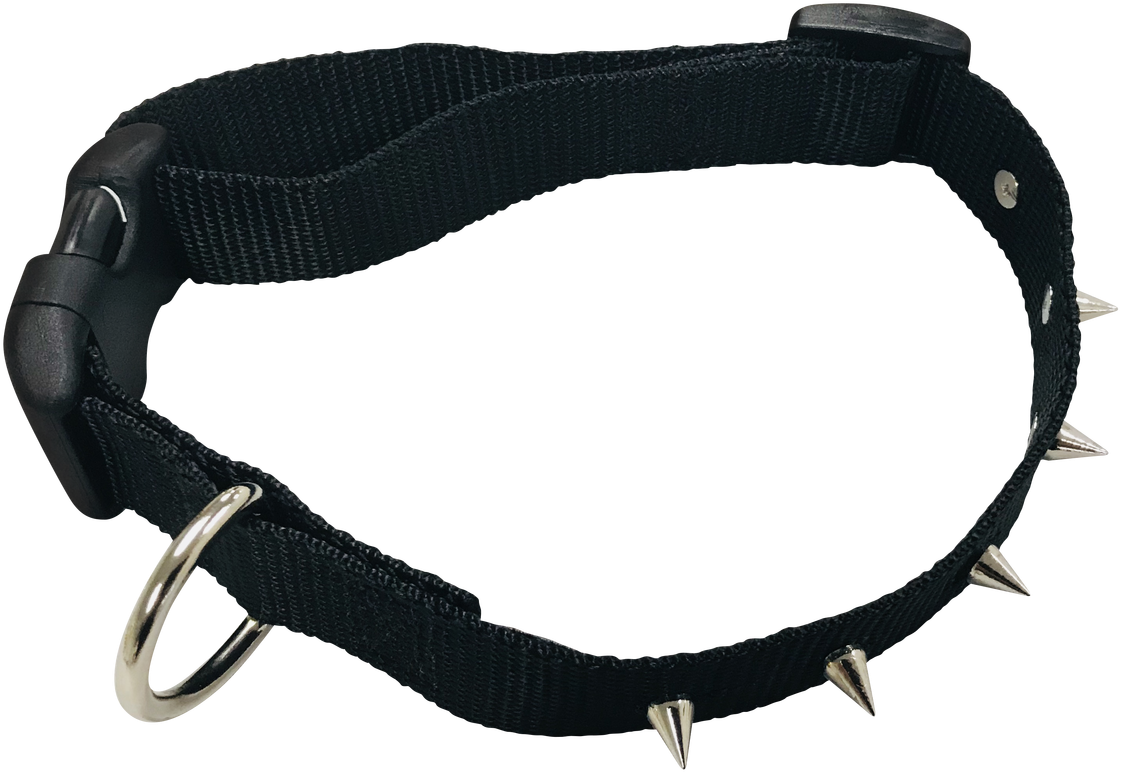 Strap (1280x962), Png Download