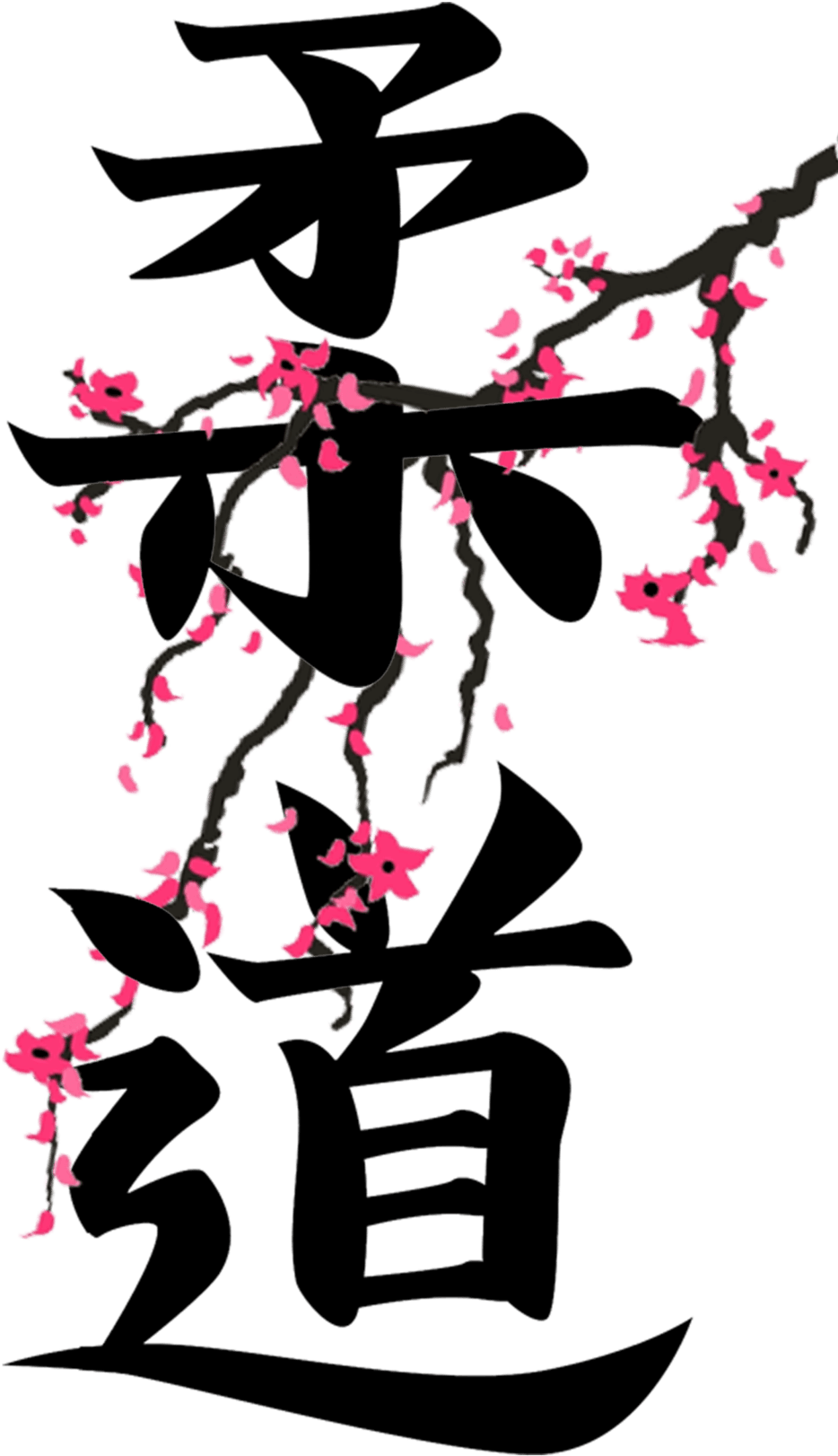 Judo Kanji Png - Judo T Shirt Designs (1024x1781), Png Download