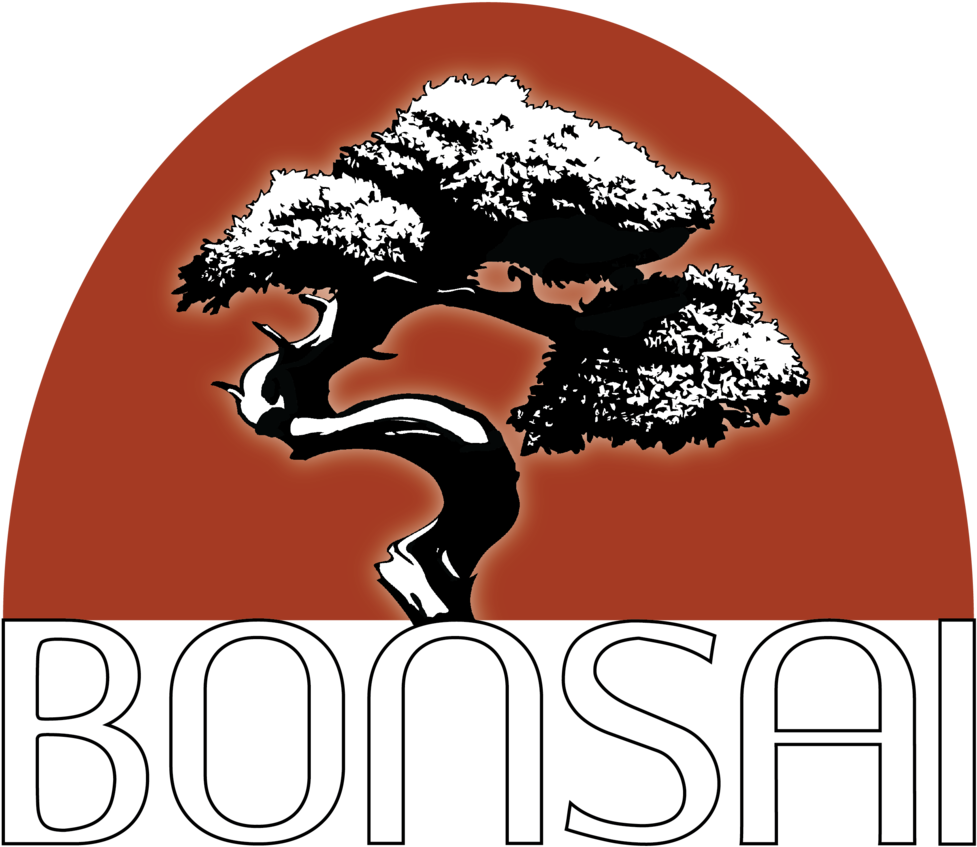 Bonsai Png (1000x970), Png Download
