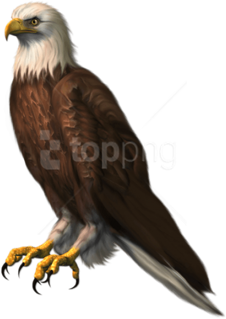 Free Png Download Eagle Transparentpicture Png Images - Eagle Png For Picsart (480x663), Png Download