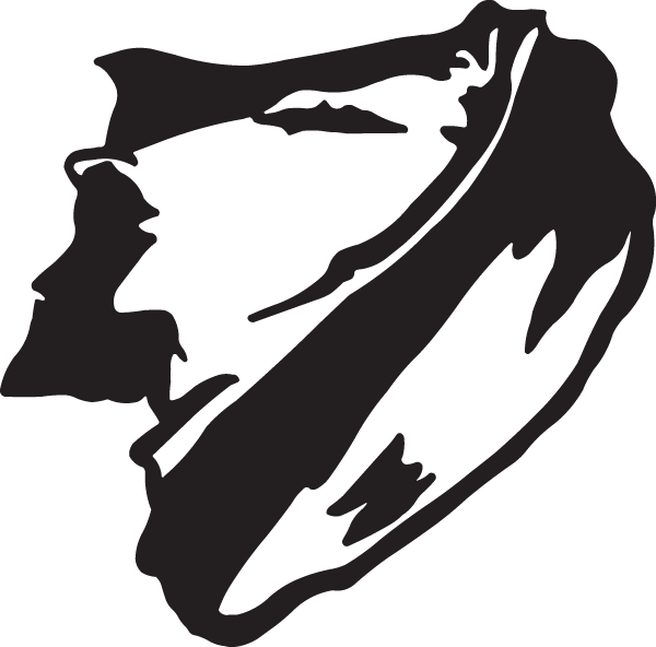 16410 - Illustration (600x592), Png Download