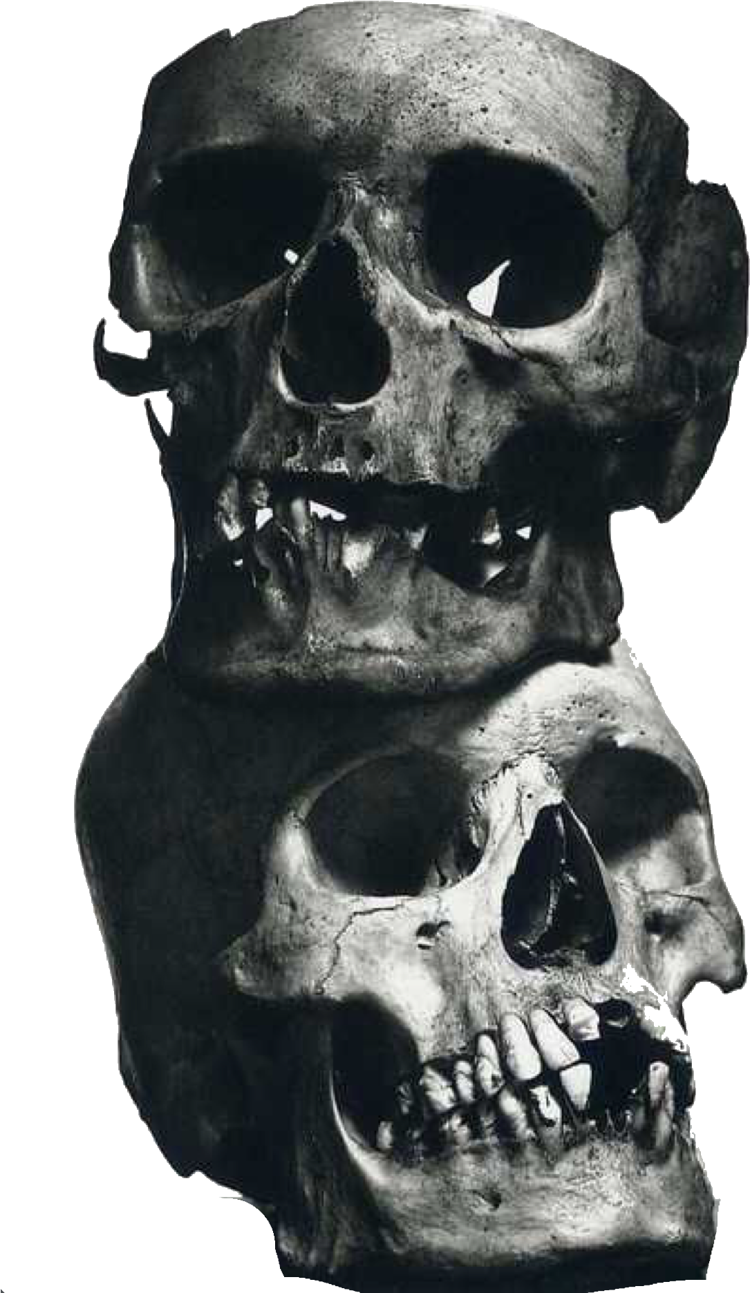 Pin By Tonnie On Beeombi Pinterest Irving - Irving Penn The Poor Lovers (1202x2048), Png Download