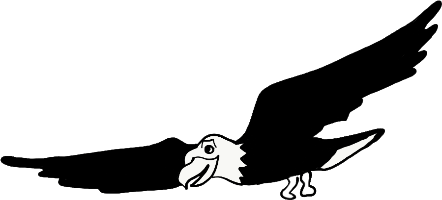 Sam, The Soaring Eagle, Innovates And Invents Marvelous - Golden Eagle (1024x768), Png Download