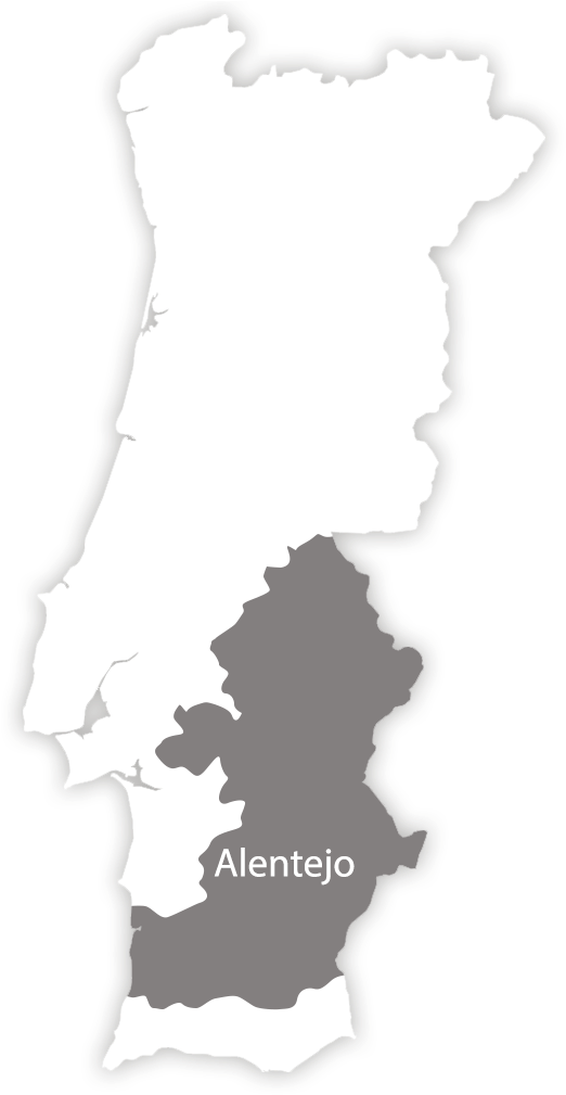 Vineyards - Portugal (540x1027), Png Download