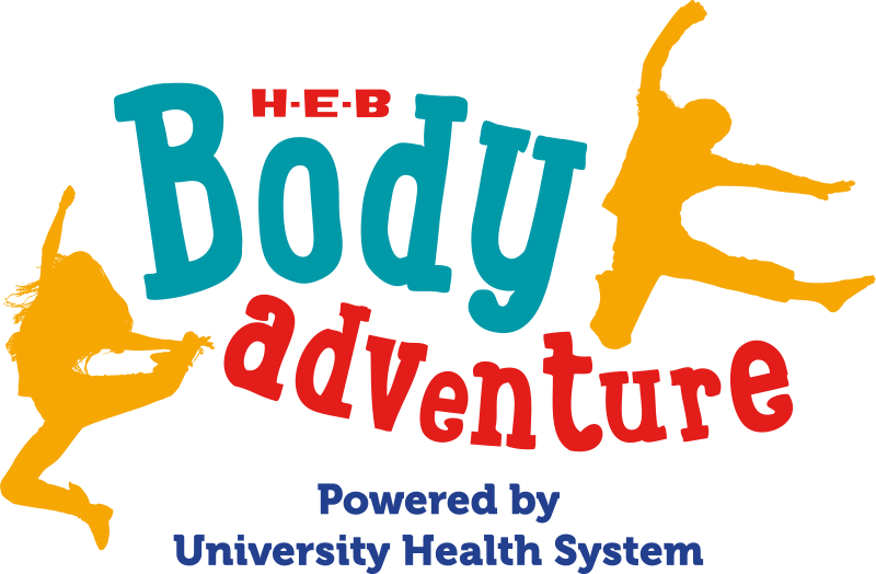 See What's Happening This Month At The H E B Body Adventure - Graphic Design (800x524), Png Download