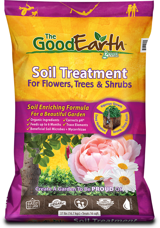 Hybrid Tea Rose (561x800), Png Download