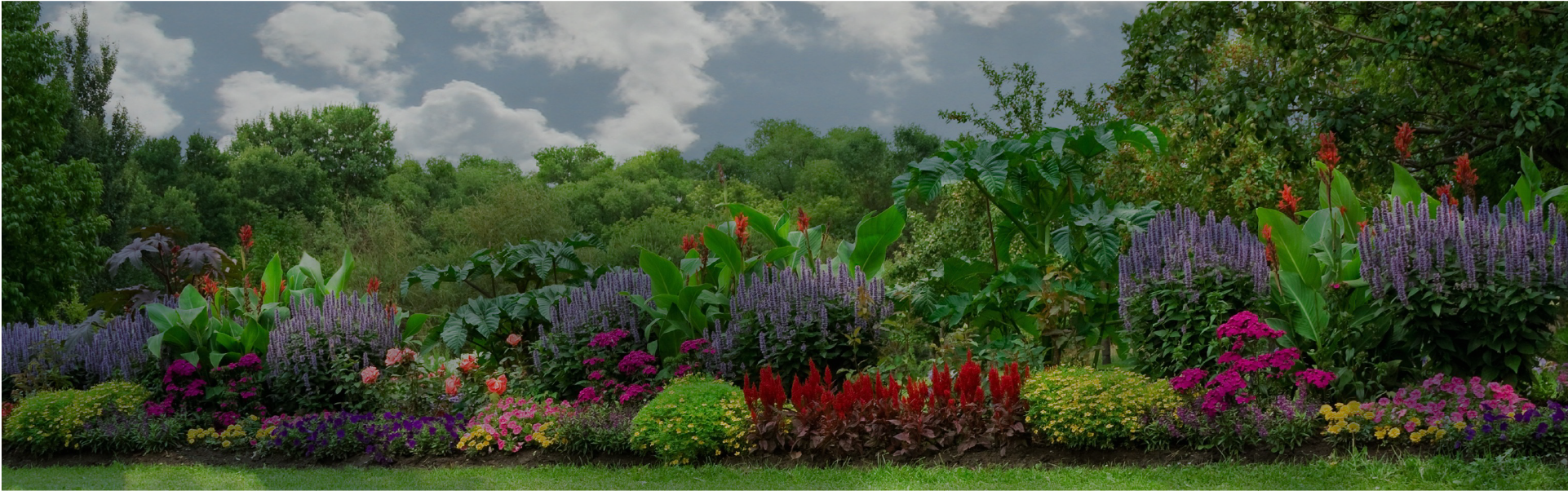 Yard (2008x1282), Png Download