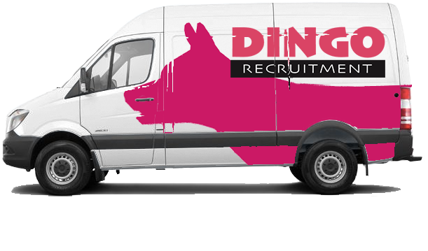 Dingo Recruimtment Has Exciting Opportunities In Various - White 2015 Ford Transit (680x544), Png Download