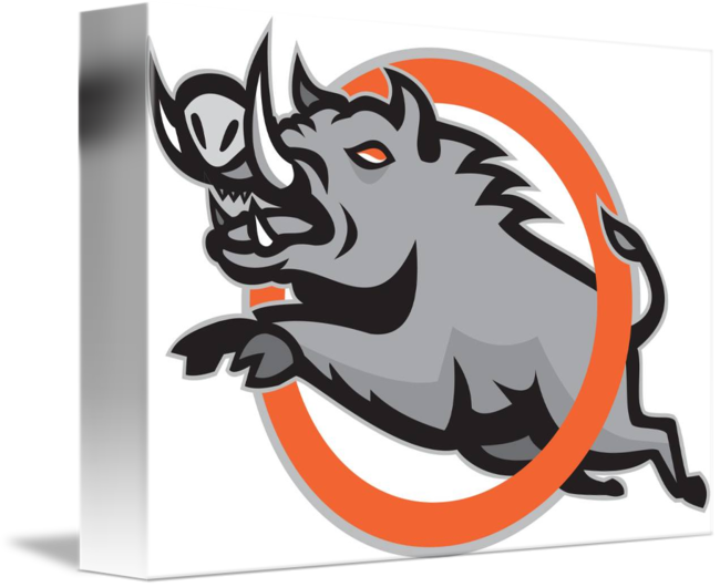 Wild Pig Jumping Circle - Wild Boar (650x530), Png Download