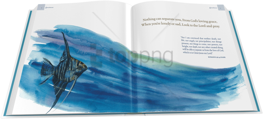 Free Png Download Still Before The Dawn - Atlantic Blue Marlin (850x387), Png Download