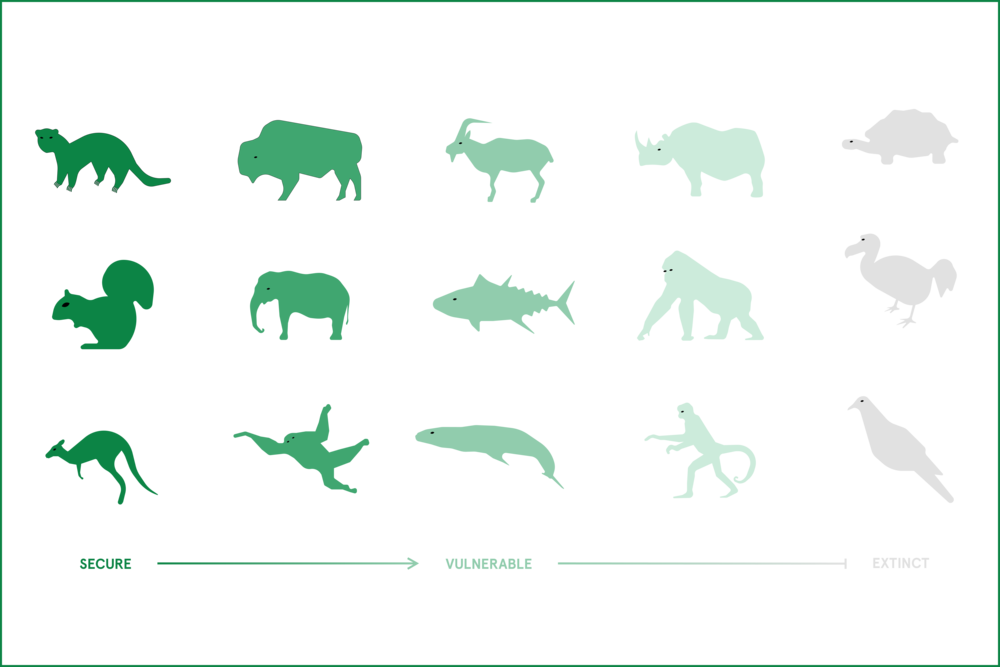 Group 19 - Indian Elephant (1000x667), Png Download