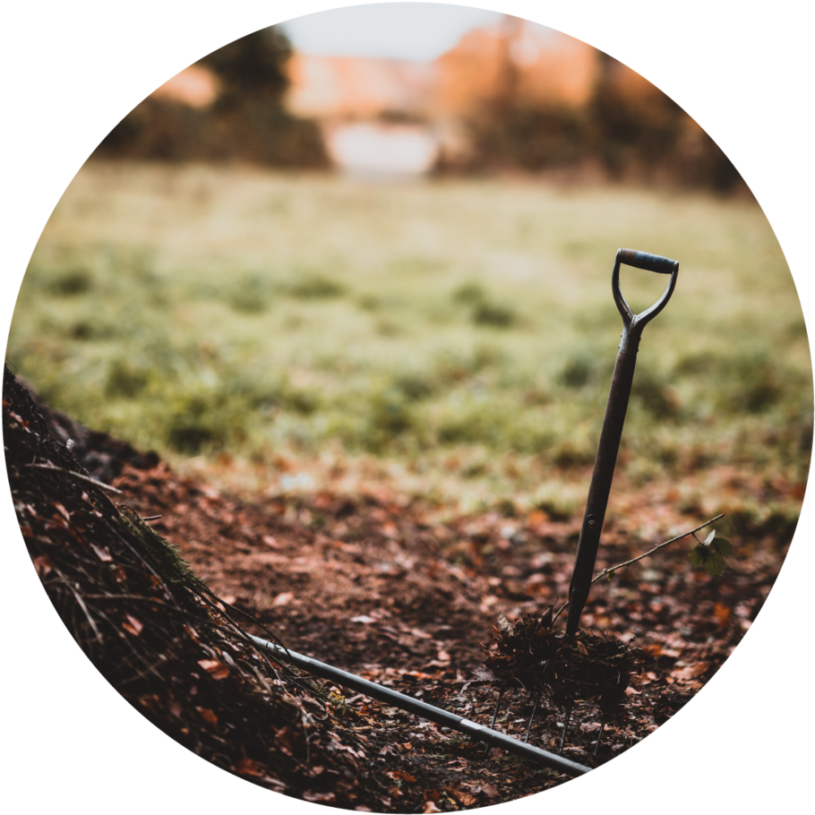 Tree Planting-01 - Grass (1000x1000), Png Download