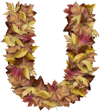 Letter U From Dry Leaves - Prince Of Wales Feathers (866x650), Png Download