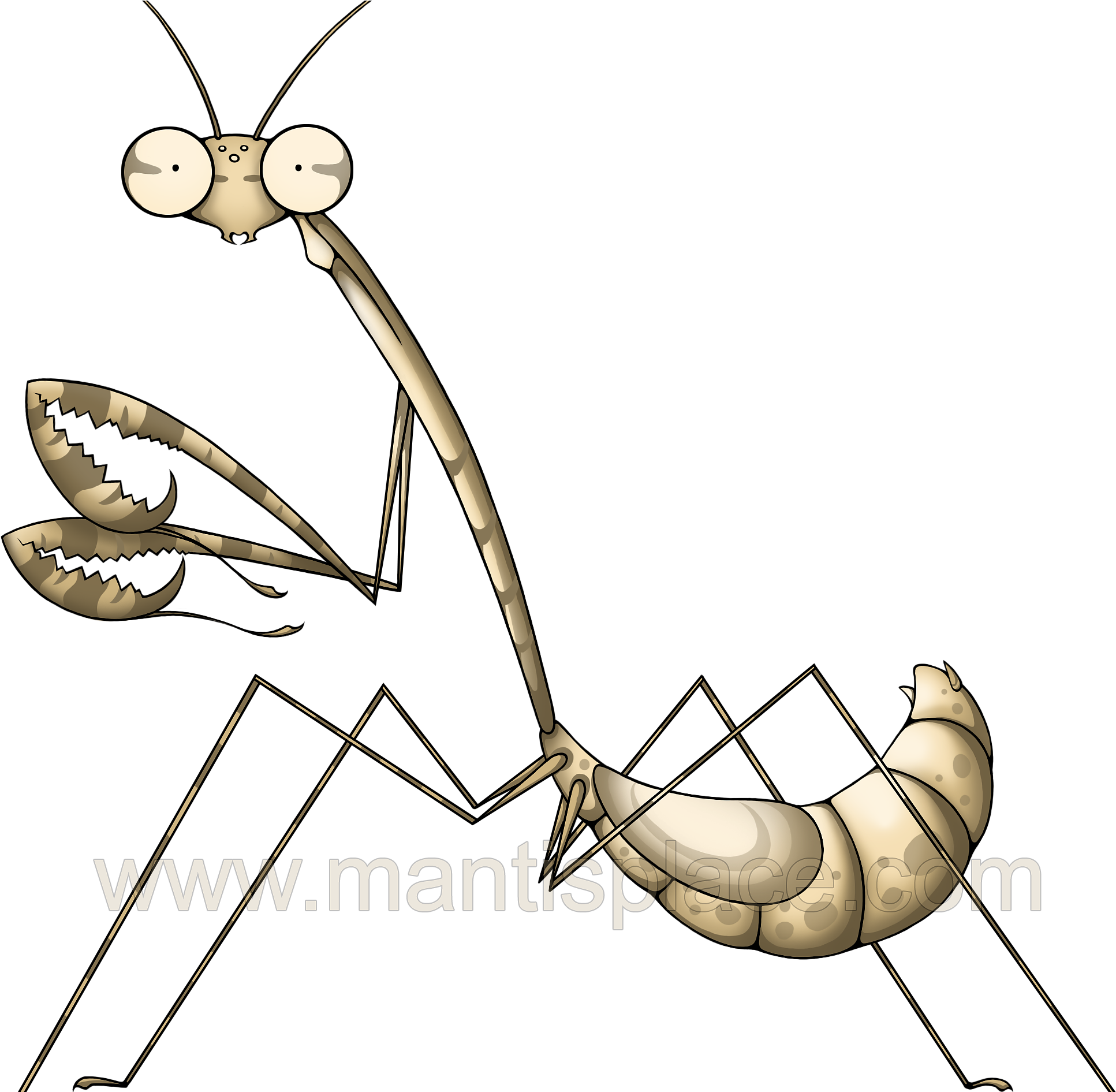 Long Neck - Illustration (2520x1890), Png Download