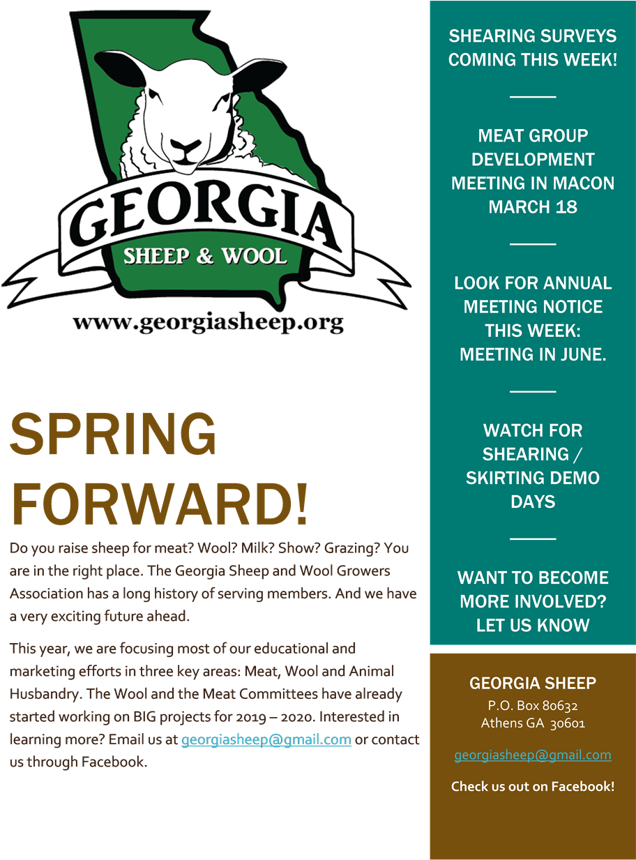 Georgia Sheep Events - Flyer (923x1280), Png Download
