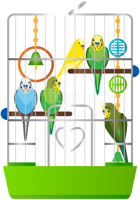 Download Cage With Parrots Clipart Png Photo - Birds In The Cage Clipart (480x683), Png Download