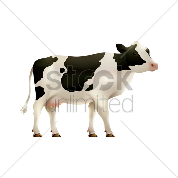 Cow Vector Png - Dairy Cow (600x600), Png Download