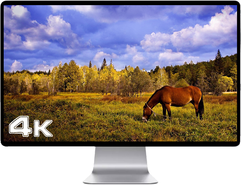 Score 50% - Wallpaper (846x650), Png Download