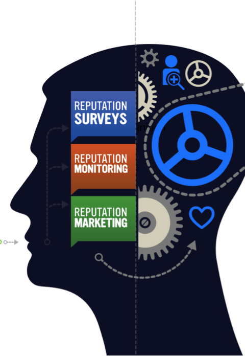 Online Reputation Management - Online Brand Management (480x696), Png Download