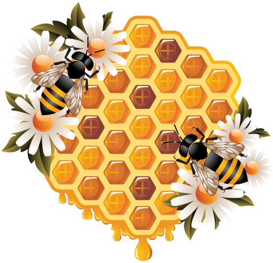 Ϧees ‿✿⁀ Bee Free, Bee Happy, Winnie, Honeycomb - Flower Honey Bee Clip (600x580), Png Download