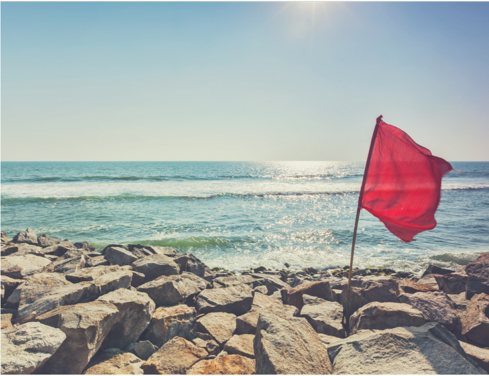 During The Job Search, We Know The Importance Of Being - Flag (960x960), Png Download