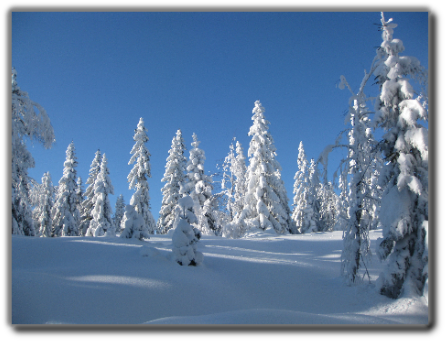 Snow (455x351), Png Download